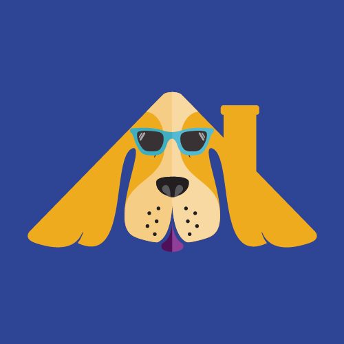 FB Profile פנסיון